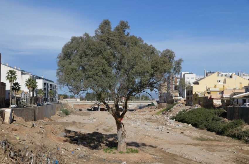 Paiporta convoca la seua primera trobada ciutadana per a la reconstrucció i regeneració del municipi