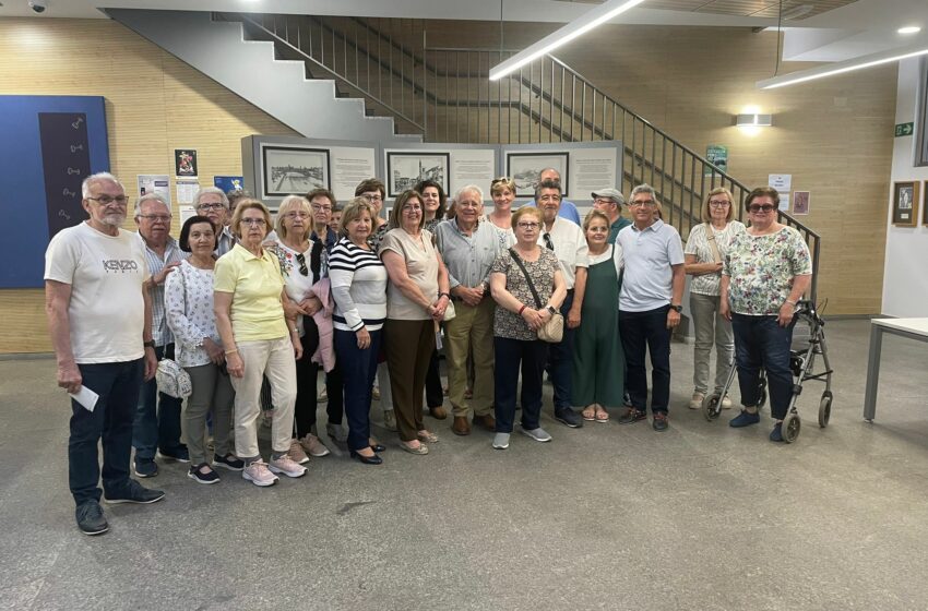  Alzira imagina futur a través de l’art amb una exposició plena de sensibilitat