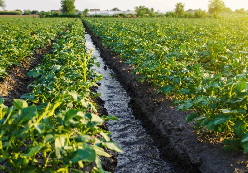  Agricultura inverteix 8 milions d’euros en la modernització dels regadius a la Comunitat Valenciana