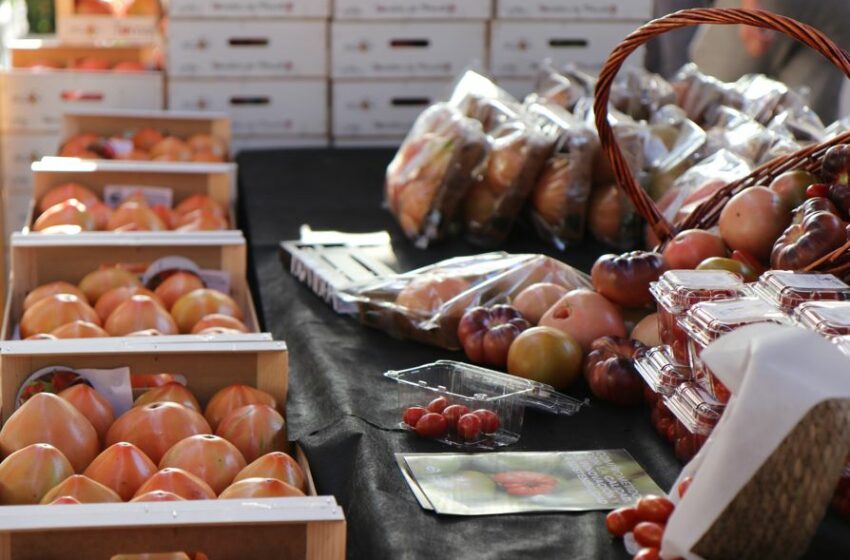 Torna la Fira de la Tomaca del Perelló