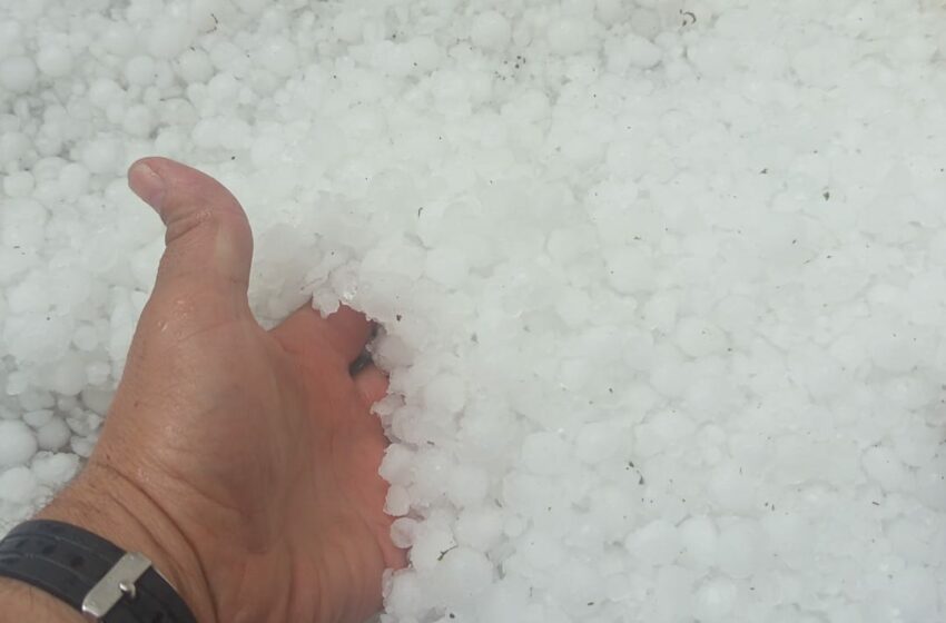  La pedra arrasa més de 10.000 hectàrees i causa pèrdues de més de 4 milions d’euros