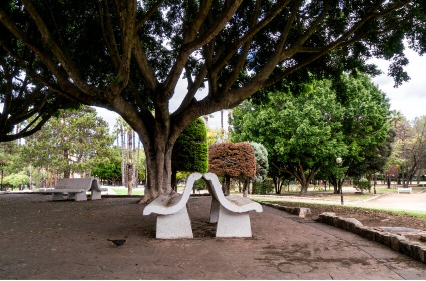  Alzira s’activa davant la primera onada de calor i el risc d’incendi forestal