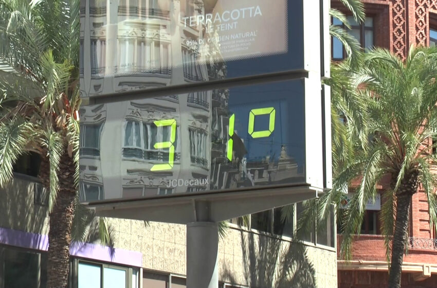  Alzira es protegeix dels incendis forestals davant les onades de calor