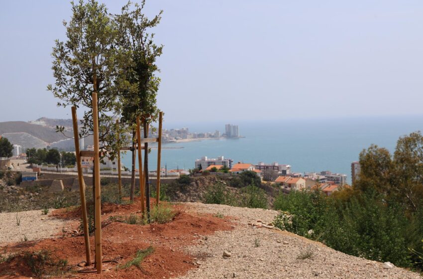  Cullera té un nou mirador al Mediterrani