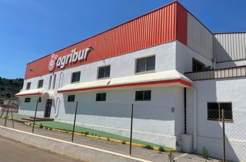  LA UNIÓ assessora als llauradors afectats pel concurs de creditors de l’empresa citrícola Agribur