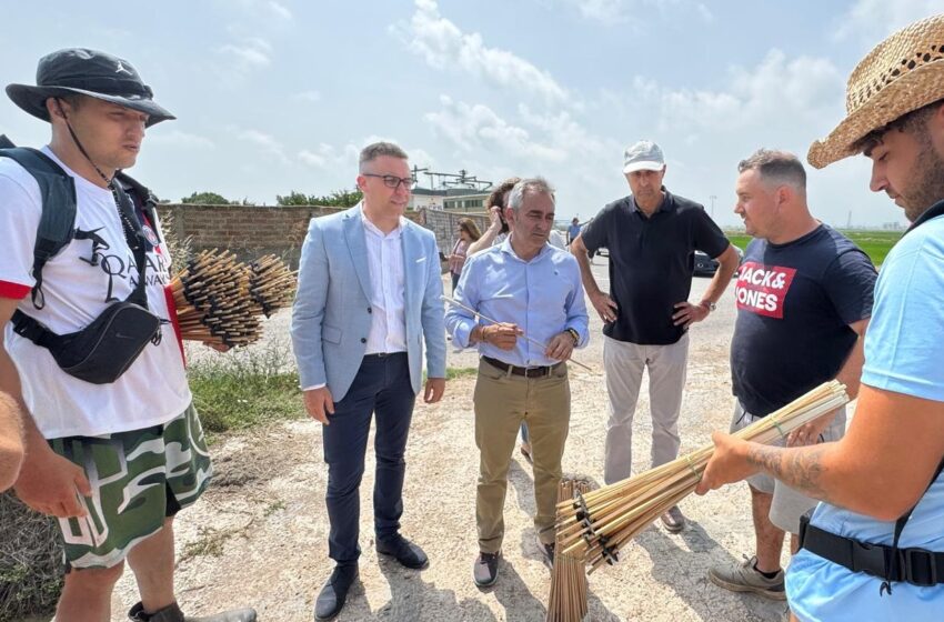  La Conselleria d’Agricultura tria l’arrossar suecà per a presentar la campanya contra el ‘cucat’