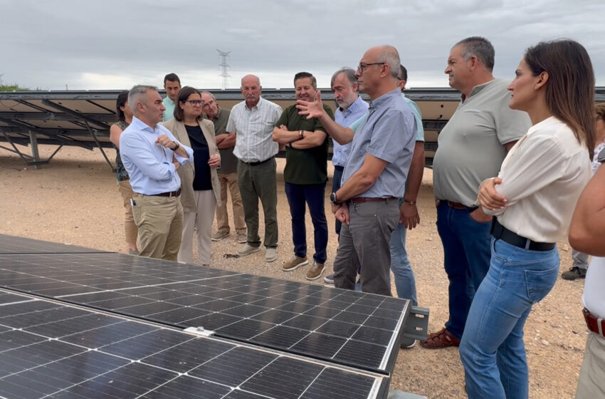  El Consell impulsa la modernització del regadiu a Carlet amb una inversió de 9,4 milions