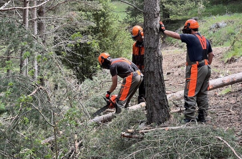  Labora convoca ajudes per a la contractació de persones desocupades en tasques de prevenció d’incendis forestals