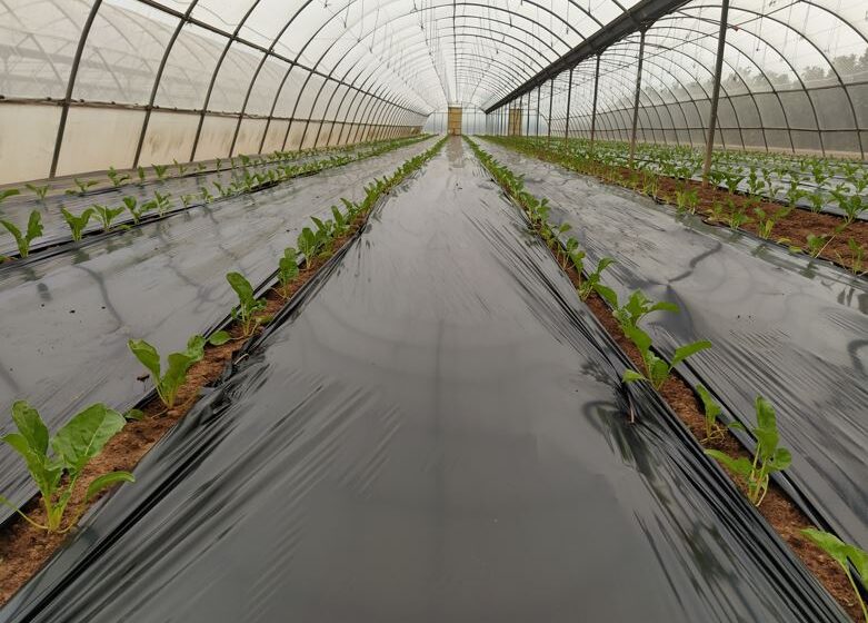  AVA-ASAJA impulsa fertilitzants i fitosanitaris sostenibles amb BIO2