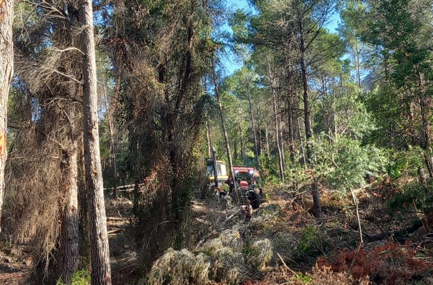  Alzira continua la campanya de prevenció d’incendis