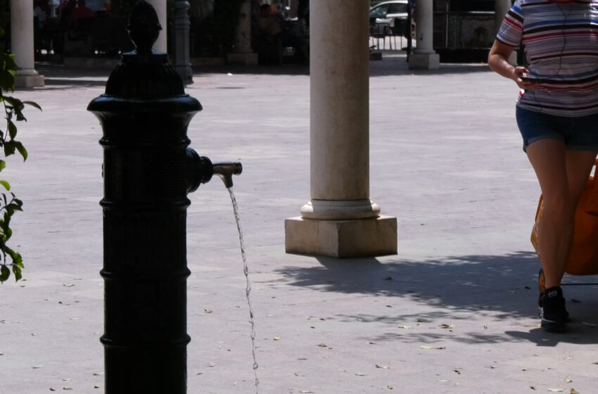  Alerta per onada de calor i risc extrem d’incendi a l’Horta i la Ribera