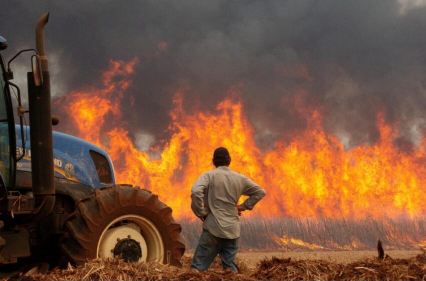  “El foc del camp i l’abandonament que crema en silenci”