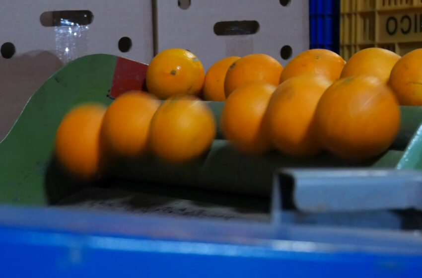  La Unió demana al Govern que faça pressió per establir tractament de fred.