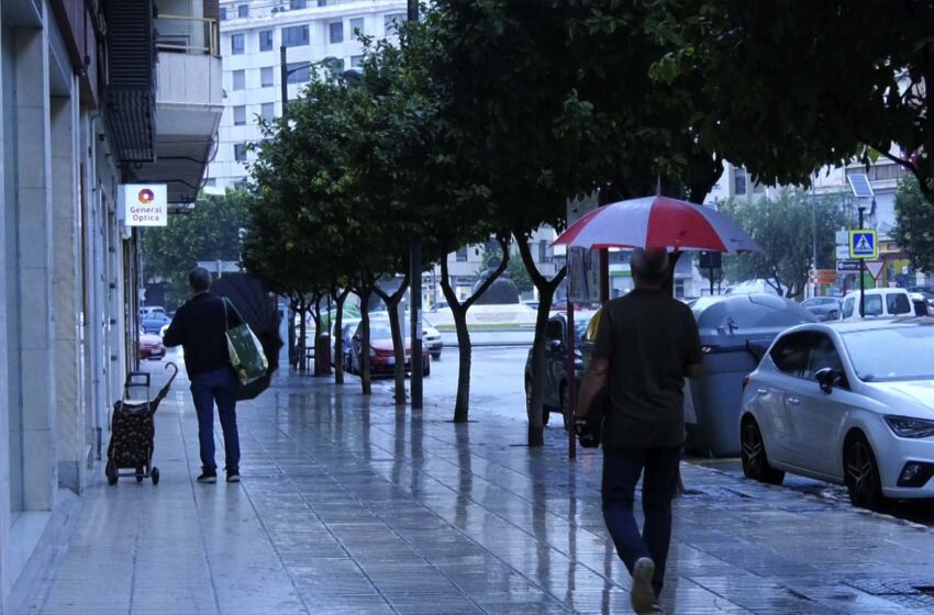  La comarca de l’Horta encara més afectada per les pluges de setembre