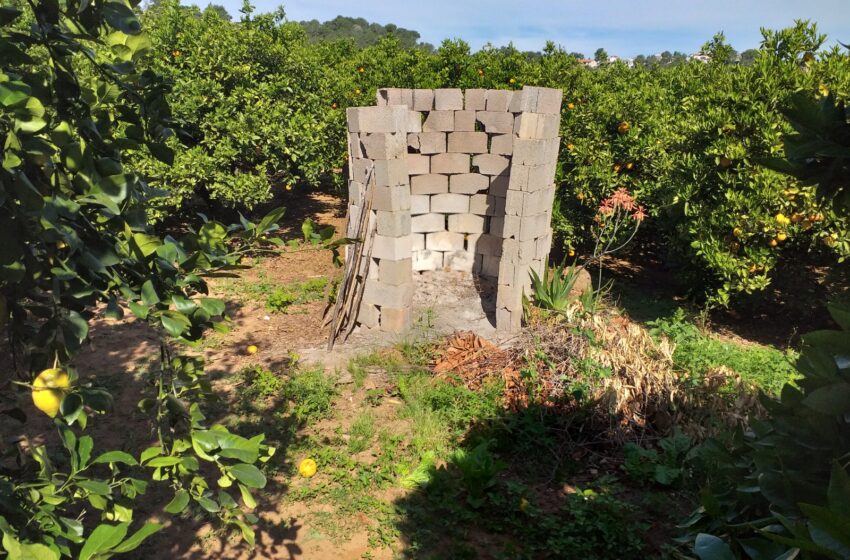  Del 1 al 16 d’octubre: període extraordinari de cremes agrícoles a Alzira