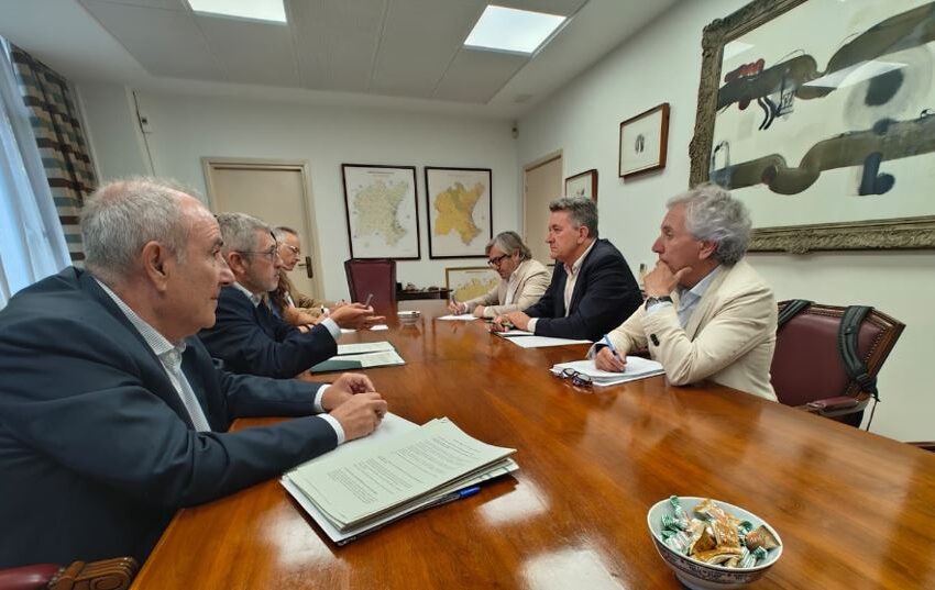  Martínez Mus destaca Vaersa com a eina de “recuperació ràpida” després de les riades