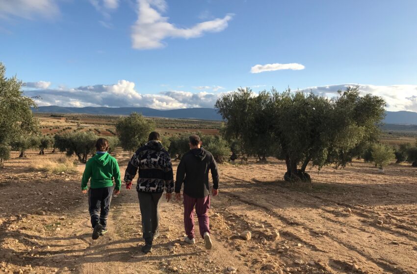  Agricultura amplia el termini per a ajudes a joves i nous agricultors fins al 7 de novembre