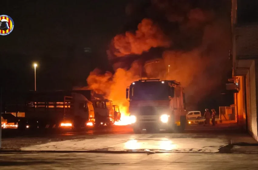  Un incendi afecta una empresa de cítrics a Carlet