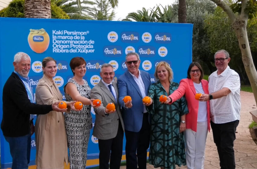 Nova campanya del Kaki Ribera del Xúquer amb més promoció i suport institucional