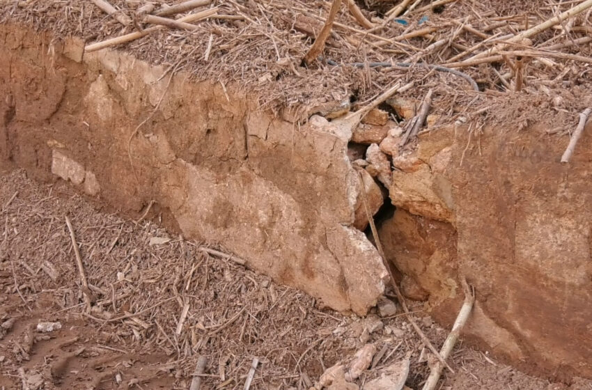  AVA-ASAJA celebra les primeres ajudes per la DANA però reclama compensacions per la pèrdua de terres agrícoles