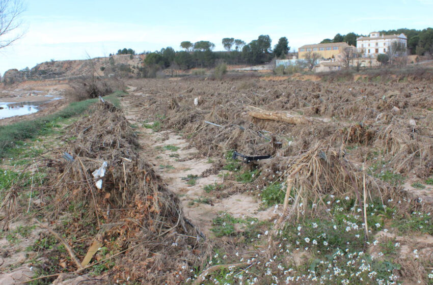  Un any després de la DANA, la recuperació agrària és desigual i LA UNIÓ reclama més ajudes