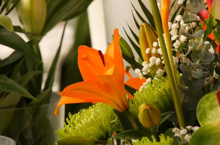  Les floristeries ultimen les vendes de Tots Sants