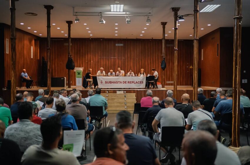  Cullera recapta una xifra històrica en la subhasta de replaces: 53.950 euros