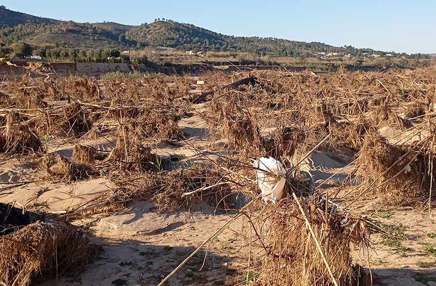  Article d’opinió de Cristóbal Aguado: Recordem i preparem-nos per a futures riuades