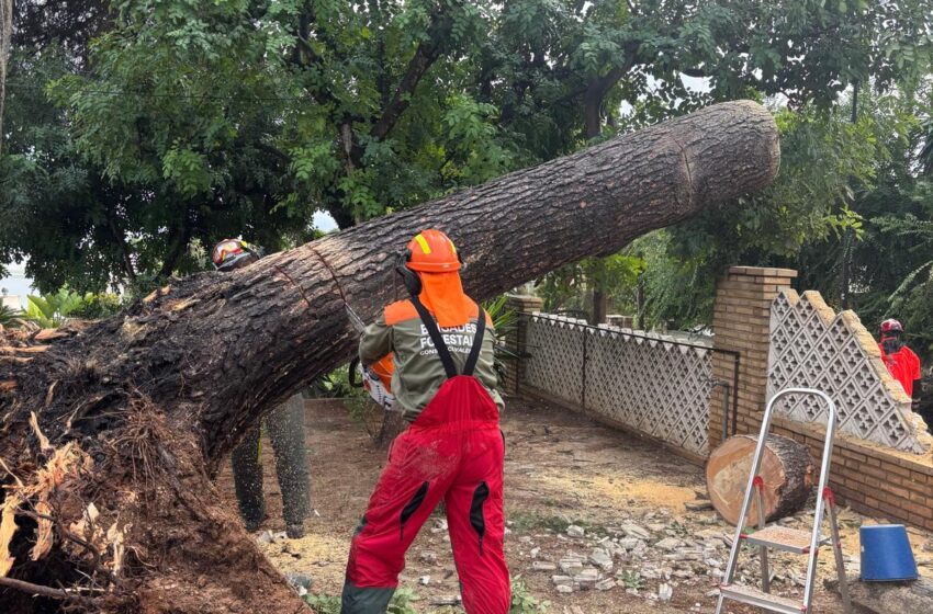  El Consorci de Bombers de València realitza prop de 20 intervencions per la pluja des de l’arribada de la dana Alice