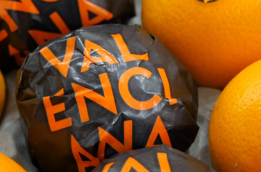  AVA-ASAJA denuncia a Brussel·les que el tractat amb Sud-àfrica desploma un 40% les mandarines primerenques de la C. Valenciana