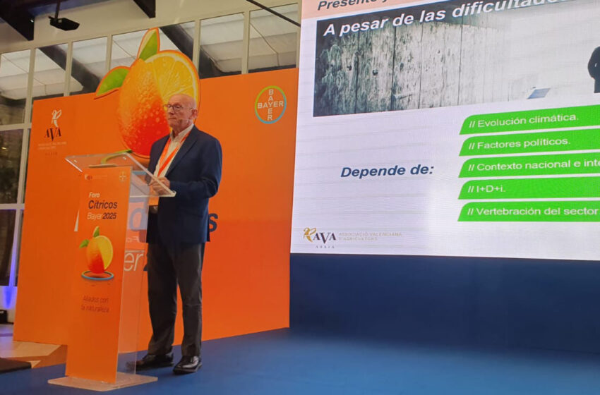  Bayer i AVA-ASAJA celebren a València el Foro de Cítrics 2025, “Aliats amb la natura”