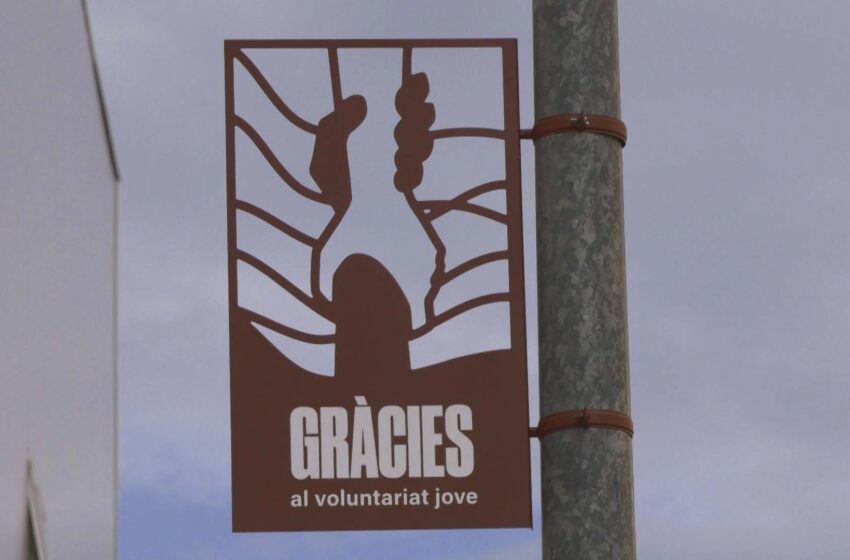  Més de 30 entitats reben una menció de l’Ajuntament d’Alzira per la seua tasca voluntària en la DANA