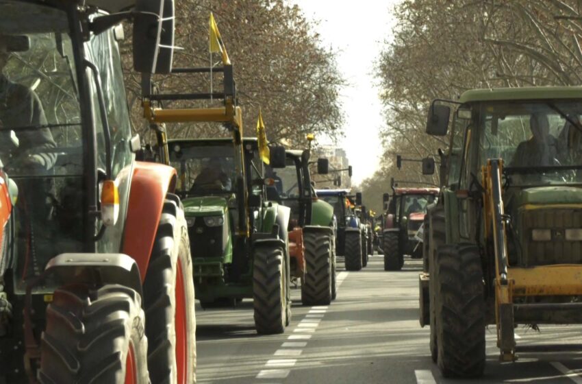  Més de 2.000 agricultors i 200 tractors reclamen a València un futur per al camp espanyol