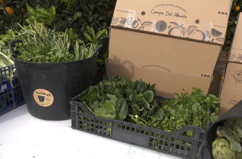 Campos del Abuelo: collita a demanda a la Ribera Alta