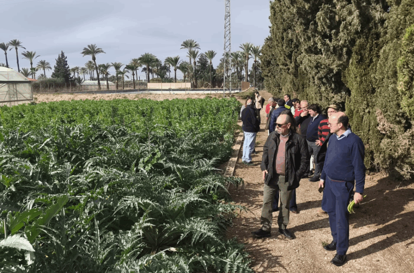 Agricultura programa 147 accions formatives en bones pràctiques agràries per a més de 5.000 alumnes