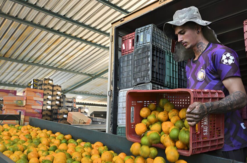  LA UNIÓ rebutja l’Acord UE-Mercosur i reclama mesures de protecció per al sector citrícola