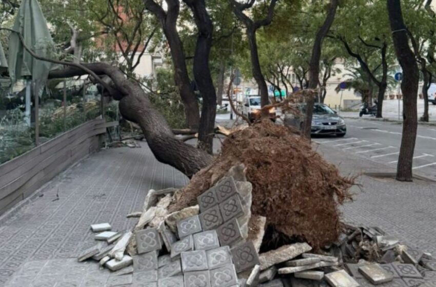  Emergències emet un avís especial pel temporal de vent a la Comunitat Valenciana